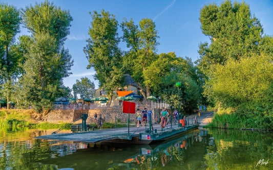 5 excursiones invernales en la naturaleza para toda la familia en Angers